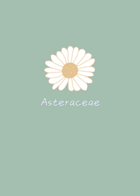 Send you a white daisy Green