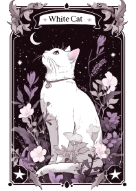 唯美塔羅牌白貓 1