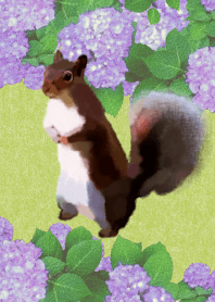 I love squirrels
