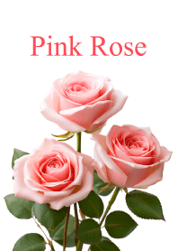 "Pink Rose vol.4" theme
