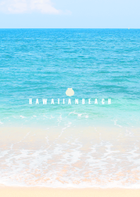 HAWAIIAN BEACH -MEKYM- 20