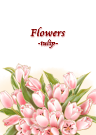 Flowers -tulip-