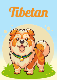 チベットの小さな犬