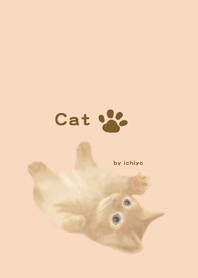 Cat by ichiyo
