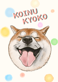 柴犬 - 小犬今日子回來了 01