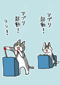 Gato do telefone