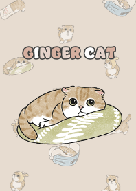 gingercat11 / almond