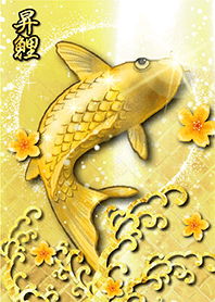 吸引财富✨金色鲤鱼和樱花