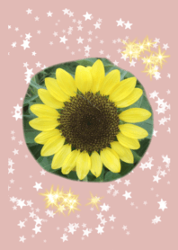 sunflower smile!!!!!!