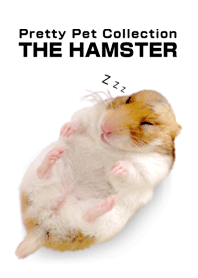 ☆THE HAMSTER☆