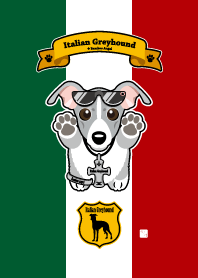Italian Greyhound 1