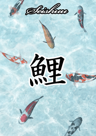 Seishuu Japanese style carp