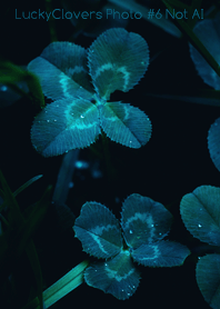 LuckyClovers Photo #6-23 Not AI