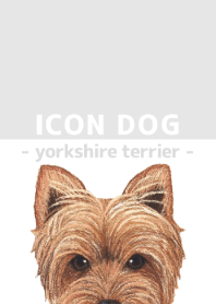 ICON DOG - Yorkshire terrier - GRAY/05