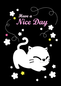 Cat Night