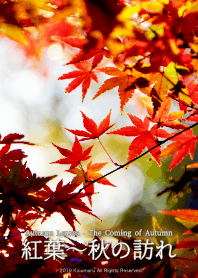 Autumn Leaves - The Coming of Autumn 3