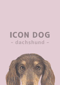 ICON DOG - dachshund - PASTEL PK/10
