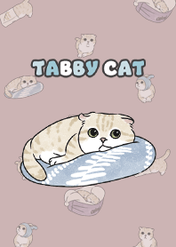 creamtabby3 / rose pink