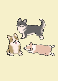 狗 柯基犬_象牙