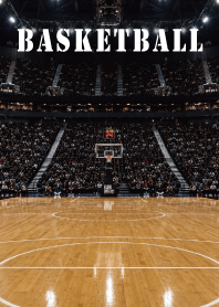 Theme of basketball10