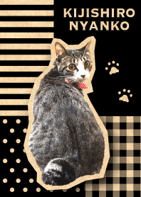 KIJISHIRO NYANKO (overseas edition)