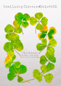 Real Lucky Clovers #Deluxe20