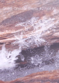 Snow Crystal Photo #2-21Not AI