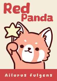 - レッサーパンダ -