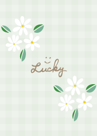 Pretty White bouquet4 from Japan