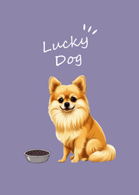 น่ารักสุนัขปอมเมอเรเนียน(สีม่วงโมรันดี)