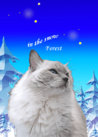 in the snow forest