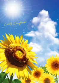 Bring good luck Blue sky & Sunflower 2*