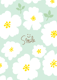 white flowers leaves healing time10