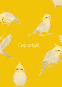 Cute Cockatiel3 yellow