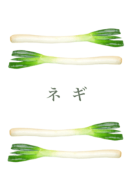 おいしい ネギ 14