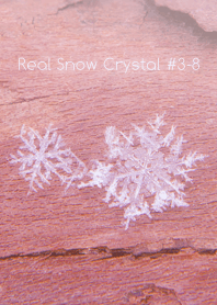 Real Snow Crystal #3-8