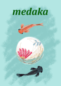 メダカ