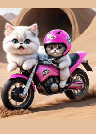 Cat drives motorcycle
