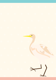Cattle Egret on P&B JP