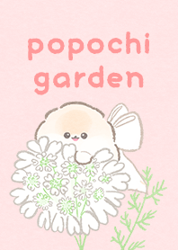 popochi garden