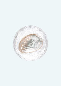 "Bead" Plump-Glass Bead-Seashell3