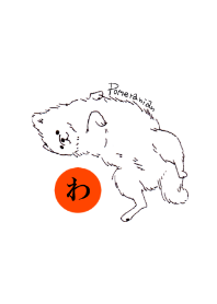ポメラニアン気まぐれわたちゃん