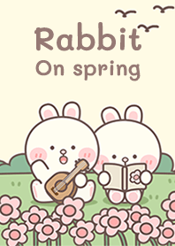 Rabbit on spring!