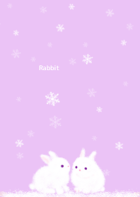 冬の白うさぎカップル