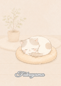 Cozy Lazy Cat: Fukuyama