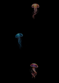 floating jellyfish theme