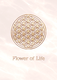 Flower of Life - Gold (M) - Pベージュ 01