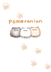 ง่าย ใบหู