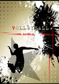 Splash Volleyball