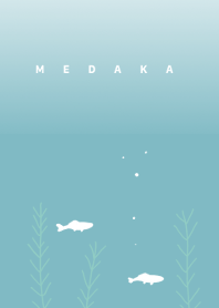 めだか